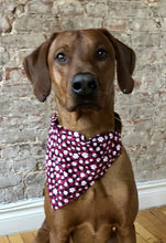 Load image into Gallery viewer, Paw Print Red Plaid Bandana