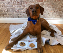 Load image into Gallery viewer, Koa's Ruff Life, blue personalized bow tie for dogs, pup's name on left side. Dog cookies, peanut butter cookie, banana oat carob chip cookies that the pup and humans can enjoy!