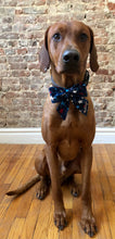Load image into Gallery viewer, Koa's Ruff Life, Koa in the "made in america" themed sialor bow for dogs, large personalized with pup's name. Great for the summer, memorial day, july 4th bbq picnic, veteran's day.
