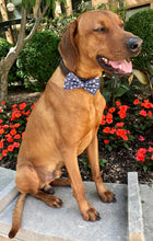 Load image into Gallery viewer, Koa's Ruff Life, Koa in the large "summer sails" bow tie is for the nautical lover featuring whales, sailboat, anchors and wheels.