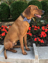 Load image into Gallery viewer, Koa's Ruff Life, Koa in the large "summer sails" bow tie is for the nautical lover featuring whales, sailboat, anchors and wheels.