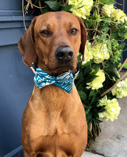 Load image into Gallery viewer, Koa's Ruff Life, Koa in the large teal Hawaiian print bow tie.The Hawaiian Collection celebrates the Aloha spirit.