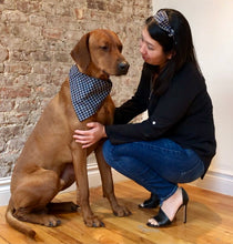Load image into Gallery viewer, Koa's Ruff Life, Koa in the blue/grey plaid large bandana for dogs. Andy in the matching side bow headband.
