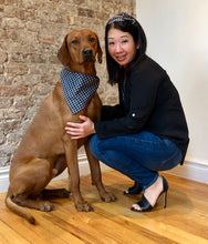 Load image into Gallery viewer, Koa's Ruff Life, Koa in the blue/grey plaid large bandana for dogs. Andy in the matching side bow headband.