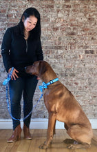 Load image into Gallery viewer, Koa's Ruff Life, Koa in the blue aloha honu large bow tie  for dogs and matching collar. Andy holding the matching leash and poop bag holder. Bring the spirit of Hawaii to your town!