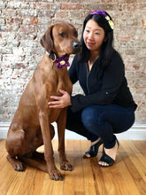 Load image into Gallery viewer, Koa's Ruff Life, Koa in the purple plaid flower for dog collar. Andy in the matching bow headband. This acessory is perfect for spring!