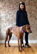Load image into Gallery viewer, Koa's Ruff Life, Koa in the purple plaid flower for dog collar. Andy in the matching bow headband. This acessory is perfect for spring!