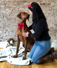 Load image into Gallery viewer, Koa's Ruff Life, Koa in the red heart swirl sailor bow for dogs. Andy in the matching bow headband.