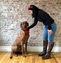 Load image into Gallery viewer, Koa's Ruff Life, Koa in the red heart swirl sailor bow for dogs. Andy in the matching bow headband.