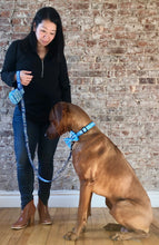 Load image into Gallery viewer, Koa's Ruff Life, Koa in the blue aloha honu large bow tie for dogs and matching collar. Andy holding the matching leash and poop bag holder. Bring the spirit of Hawaii to your town!