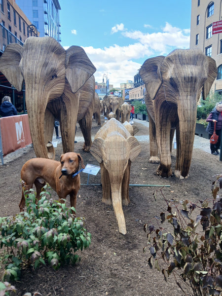 The Great Elephant Migration in the Meatpacking District in NYC