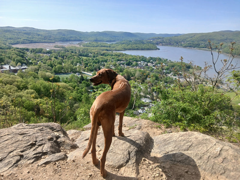 Day Trip from NYC:  Cold Spring Guide