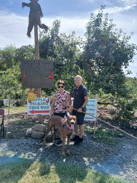 A Fall Escape from the City: Apple Picking and Family Fun at Dr. Davies Farm