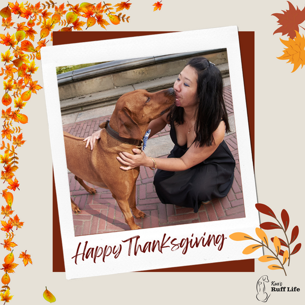 What is Thanksgiving? A Celebration of Gratitude and Togetherness