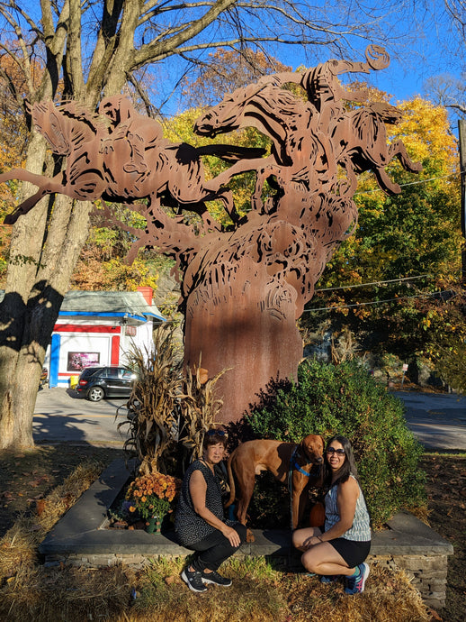 Day Trip to Sleepy Hallow and Tarrytown, NY With A Dog