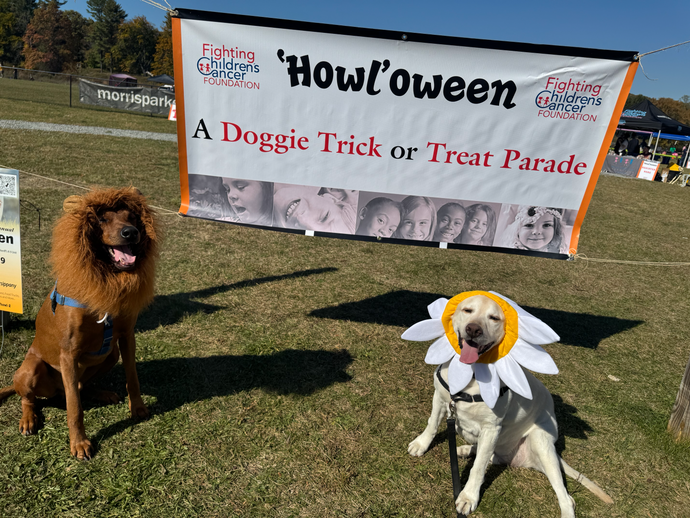 Fighting Children's Cancer Foundation Howl’oween Event