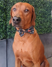 Load image into Gallery viewer, Cosmic Bow Tie
