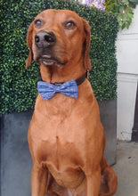 Load image into Gallery viewer, Little Mathematician Bow Tie - Science Collection
