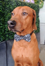 Load image into Gallery viewer, Chemistry Bow Tie  - Science Collection
