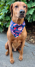 Load image into Gallery viewer, Boston Red Sox Game Day Bandana - Baseball Collection
