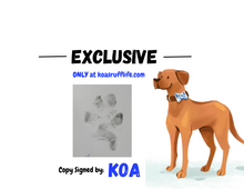 Load image into Gallery viewer, Koa&#39;s Adventure to the Central Park Zoo
