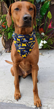 Load image into Gallery viewer, University of Michigan Bandana - College Collection
