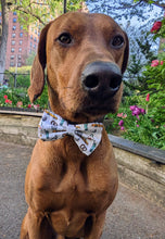 Load image into Gallery viewer, Koa&#39;s Ruff Life, Koa is in the New York City Motif option B large bow tie.
