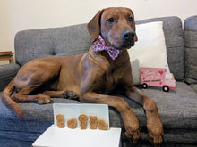 Load image into Gallery viewer, Koa&#39;s Ruff Life, valentines dog cookies
