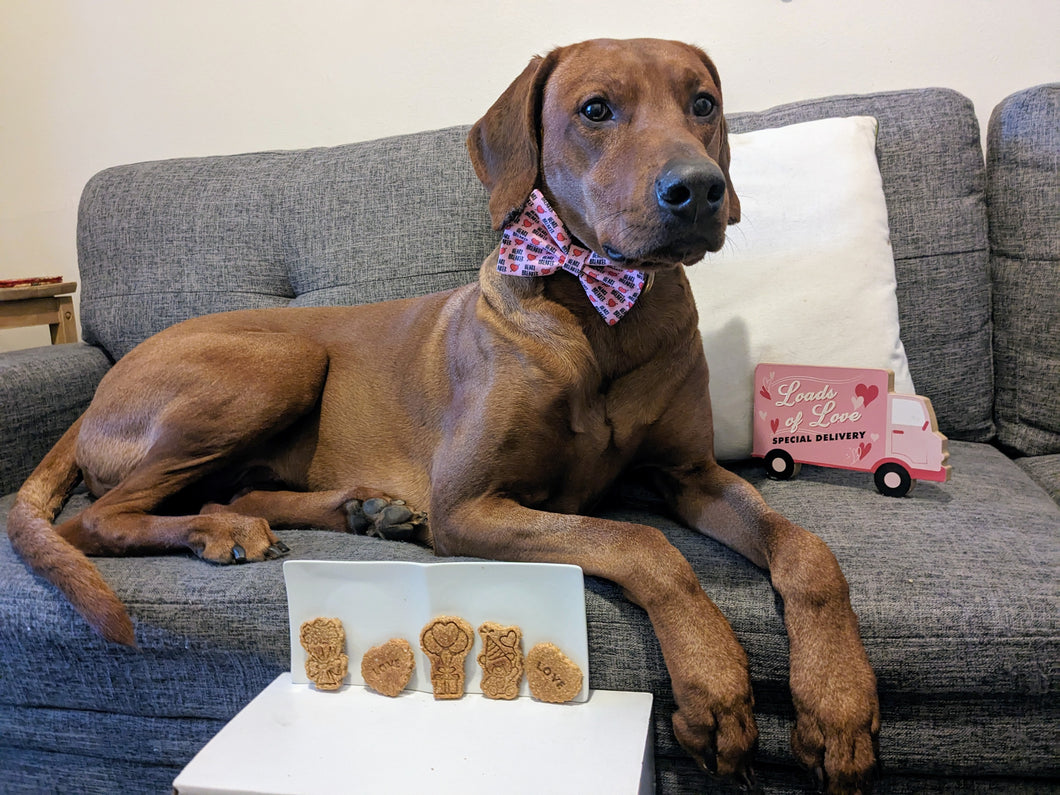 Koa's Ruff Life, valentines dog cookies