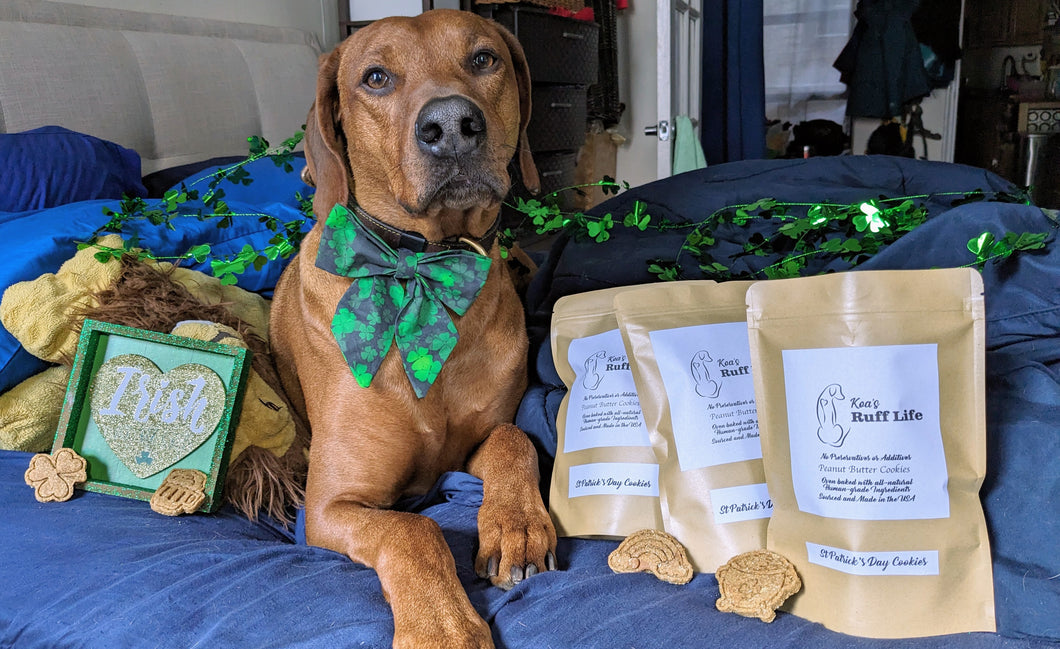St Patrick's Day Dog Cookies