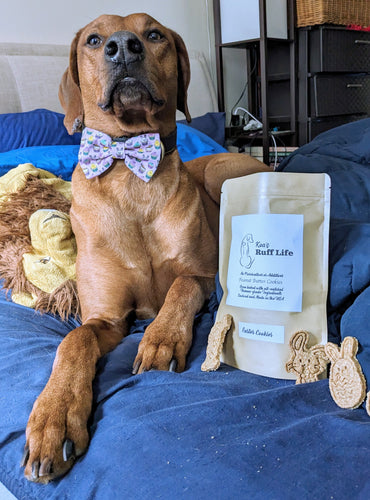 Koa's Ruff Life, Koa with a bag of eater themed cookies