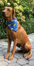 Load image into Gallery viewer, Koa&#39;s Ruff Life, Koa in a large Michigan Wolverines checkered flannel dog bandana
