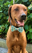 Load image into Gallery viewer, Koa&#39;s Ruff Life, Koa in a large, &quot;mommy&#39;s little pumpkin&quot; bow tie for dogs
