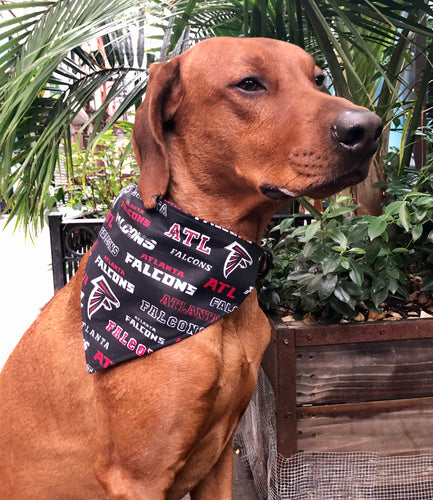 Koa's Ruff Life, Koa in a large NFL Atlanta Falcons bandana for dogs