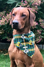 Load image into Gallery viewer, Koa&#39;s Ruff Life, Koa in a large NFL Green Bay Packers dog bandana personalized with your pup&#39;s name
