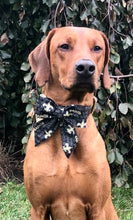 Load image into Gallery viewer, Koa&#39;s Ruff Life, Koa in a large New Orleans Saints sailor bow
