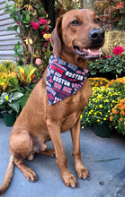 Load image into Gallery viewer, Koa&#39;s Ruff Life, Koa in a large MLB Boston Red Sox over the collar bandana for dogs
