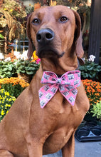Load image into Gallery viewer, Koa&#39;s Ruff Life, Koa in a large pink birthday girl cake sailor bow
