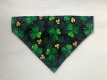 Load image into Gallery viewer, Koa&#39;s Ruff Life, large Luck of an Irish bandana
