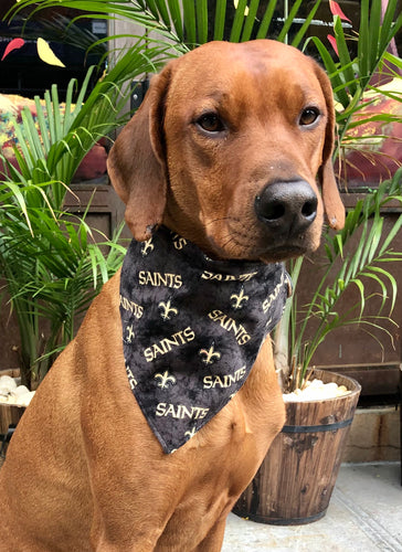 Koa's Ruff Life, Koa in a large black New Orleans Saints bandana for dogs