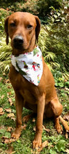 Load image into Gallery viewer, Koa&#39;s Ruff Life, Koa in a large How the Grinch stole christmas bandana for dogs
