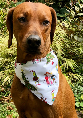 xKoa's Ruff Life, Koa in a large How the Grinch stole christmas bandana for dogs