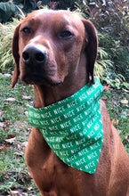 Load image into Gallery viewer, Koa&#39;s Ruff Life, Koa in a large green nice list bandana
