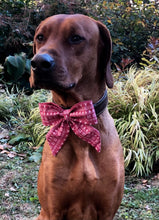 Load image into Gallery viewer, Koa&#39;s Ruff Life, red reindeer  (fair isle deer) sailor bow for dogs
