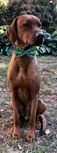 Load image into Gallery viewer, Koa&#39;s Ruff Life, Koa in a large green milk and cookies bow tie
