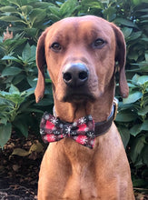 Load image into Gallery viewer, Koa&#39;s Ruff Life, Koa in a large snowflake red/black plaid bow tie personalized with your pup&#39;s name.
