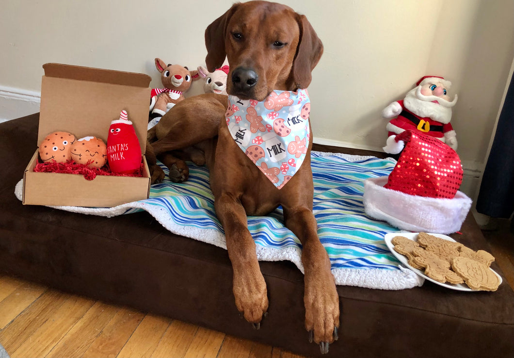 Koa's Ruff Life, Santa's milk and cookies gift box: Koa in a large Santa's milk and cookies bandana, Christmas cookies (santa claus, snowman, reindeer, Mr and Mrs Gingerbread, Christmas tree), and dog toy