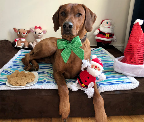 Koa's Ruff Life, Santa's List sailor bow gift box: Koa in a large green nice list sailor bow, Koa's Ruff Life, Christmas cookies (Santa Claus, reindeer, snowman, Mr & Mrs Gingerbread, and Christmas tree), and Santa Claus dog toy