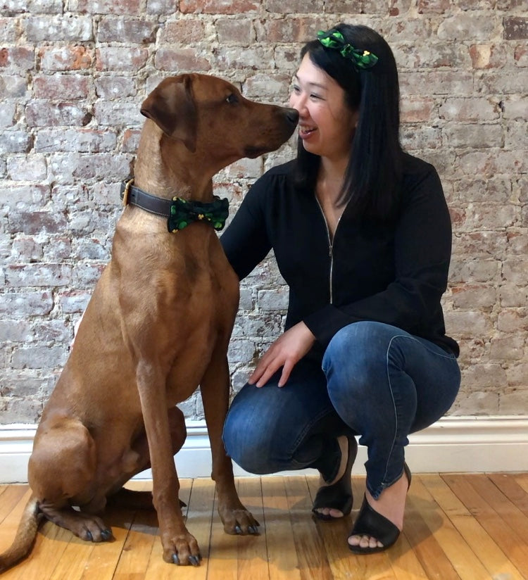 Koa's Ruff Life, mommy and me collection, Koa in a large luck of the Irish bow tie, Andy in a side bow headband