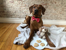 Load image into Gallery viewer, Koa&#39;s Ruff Life, the red Hawaiian flower bow tie. Also showing the dog cookies, heart paw - all are organic, no preservatives, human grade.
